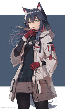 Texas Winter Messenger - (Commission Work)